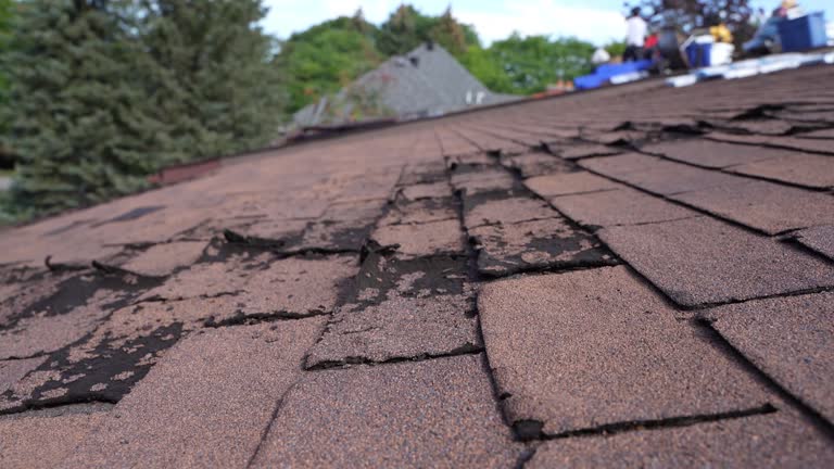 Best Slate Roofing  in Avondale Estates, GA