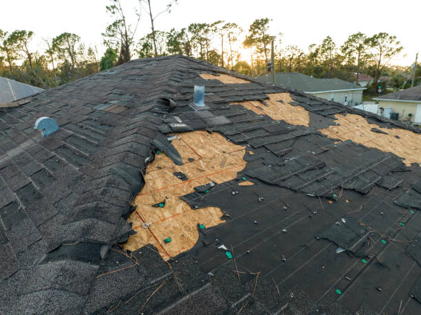 Best Gutter Installation and Repair  in Avondale Estates, GA